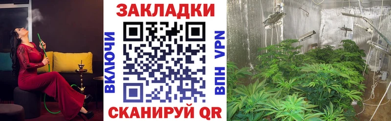 Виды наркоты Похвистнево Cocaine  МЕФ  АМФ  Псилоцибиновые грибы  Альфа ПВП  Бошки Шишки 