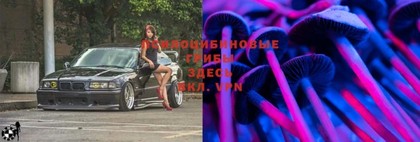 ПСИЛОЦИБИНОВЫЕ ГРИБЫ Михайлов