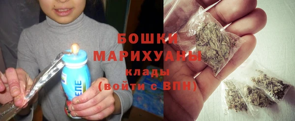 ПСИЛОЦИБИНОВЫЕ ГРИБЫ Михайлов
