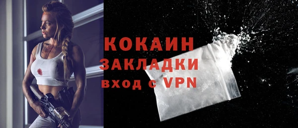 ПСИЛОЦИБИНОВЫЕ ГРИБЫ Михайлов