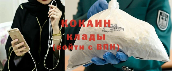 ПСИЛОЦИБИНОВЫЕ ГРИБЫ Михайлов