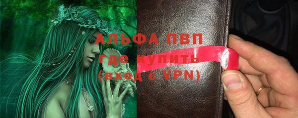 ПСИЛОЦИБИНОВЫЕ ГРИБЫ Михайлов