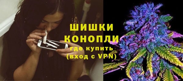 ПСИЛОЦИБИНОВЫЕ ГРИБЫ Михайлов