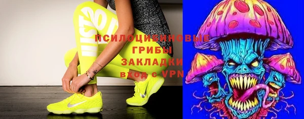 ПСИЛОЦИБИНОВЫЕ ГРИБЫ Михайлов