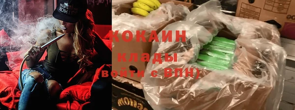 ПСИЛОЦИБИНОВЫЕ ГРИБЫ Михайлов