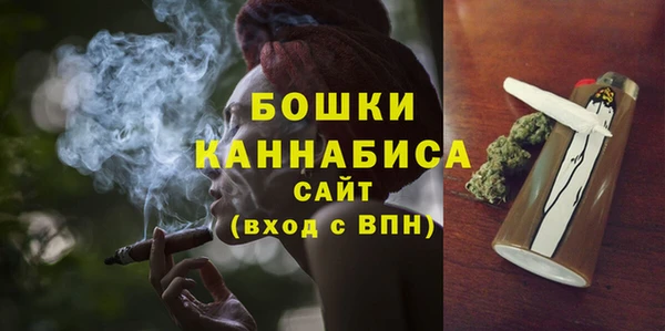 ПСИЛОЦИБИНОВЫЕ ГРИБЫ Михайлов