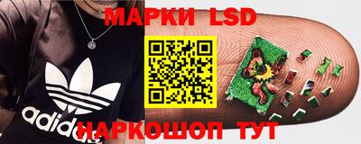 jwh Кандалакша