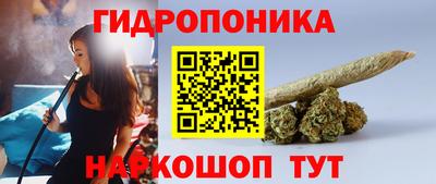 jwh Кандалакша