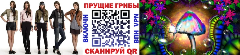 Галлюциногенные грибы Psilocybe  Похвистнево 
